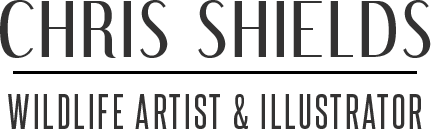 Chris Shields' Logo