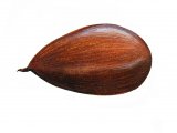 Illustration of Beech Nut (Fagus sylvaticus) (#0717)
