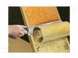 Illustration of Beekeepers Uncapping Tool (#3897)