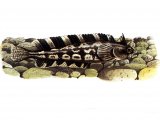 Illustration of Blenny (Cline) Cristiceps argentatus (#0779)