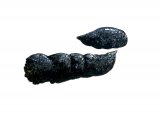 Illustration of Cat Droppings (#2777)