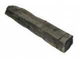 Illustration of Fossilized Bog Oak (Quercus) (#0228)