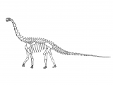 Illustration of Janenschia  (#0206)