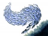 Illustration of Mackerel shoal (Scomber scombrus) (#0137)