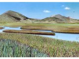 Illustration of Morro Bay California (#3782)