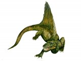 Illustration of Dimetrodon (Pelycosaur) (#0694)