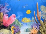 Illustration of Coral Reef (#2351)