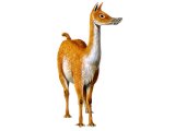 Illustration of Theosodon (#0656)