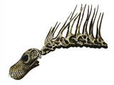 Illustration of Amargasaurus fossil (#0215)