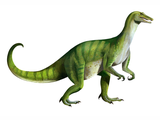 Illustration of Baryonyx walkeri  (#1775)