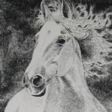 Painting of Galloping Stallions
