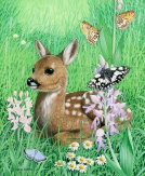 Painting of Roe Deer Flower Meadow