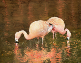 Two of a Kind