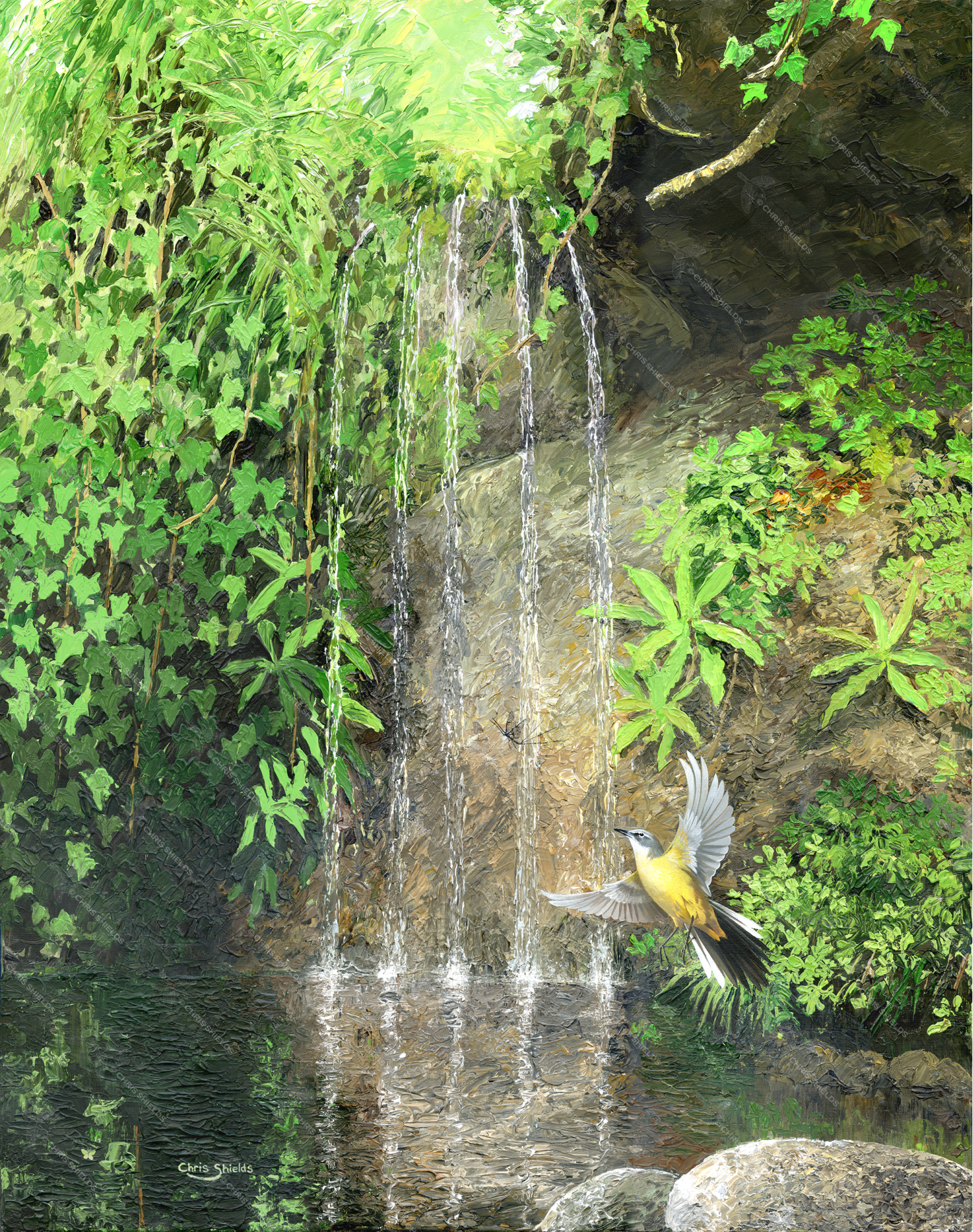 Painting of Wagtail Waterfall